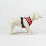 Carica l'immagine nel visualizzatore di Gallery, Pettorina MINNIE