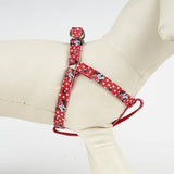 Carica l'immagine nel visualizzatore di Gallery, Imbracatura MINNIE