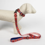 Carica l'immagine nel visualizzatore di Gallery, Guinzaglio Cane SPIDERMAN